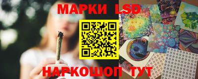 стафф Будённовск