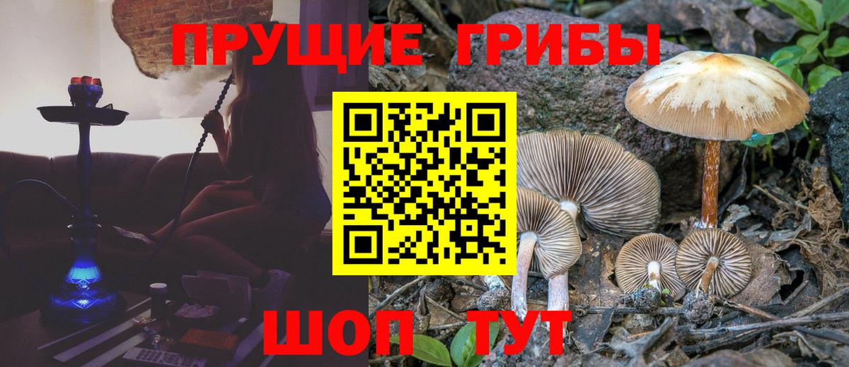 Псилоцибиновые грибы мицелий  Галлюциногенные грибы MAGIC MUSHROOMS  Вход с VPN  Рассказово 